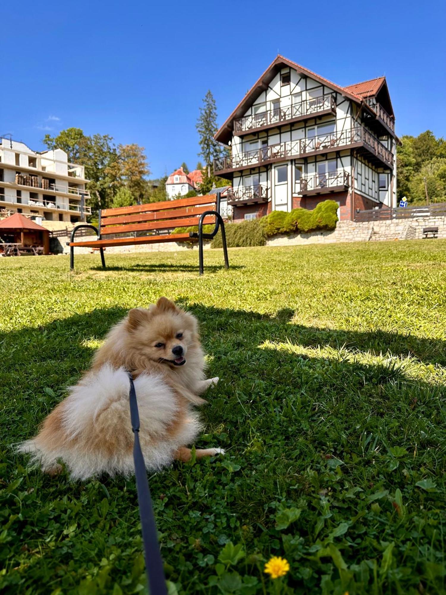 Apartmán U Józka Sklářská Poruba Exteriér fotografie